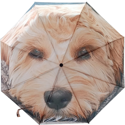 DIY Custom Design Dragonfly Animal Pattern Трехслойный зонтик с черным покрытием